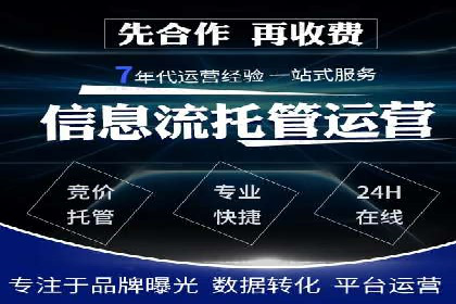 揭秘成功的关键词竞价排名背后的策略与执行
