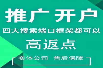 案例分享：百度竞价广告投放策略与效果