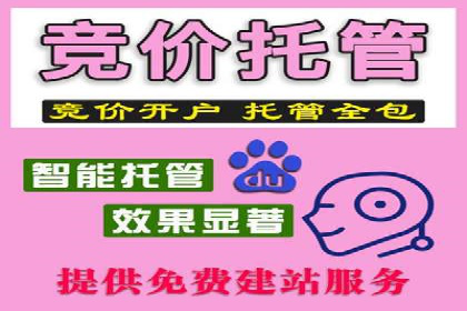 竞价托管案例分享：提升转化率的秘诀